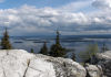 Koli